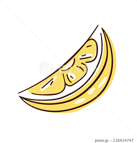 Lemon yellow slice icon in line art style. Vector illustration isolated on a white background. Lemon yellow slice icon in line art style. Vector illustration isolated on a white background. 116914747