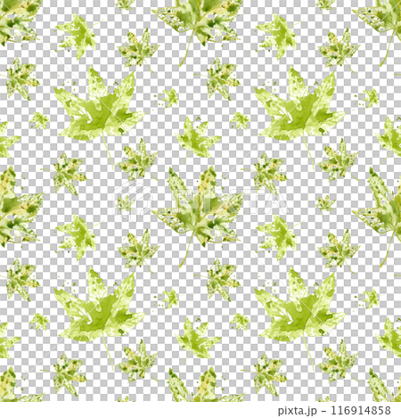 Yellow green maple leaves. Leaf imprints. Flying leaves with watercolor splashes, stains. Seamless pattern with forest plant. Floral illustration. For wrapping, scrapbooking, textile 116914858