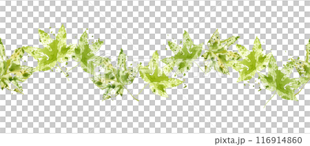 Vibrant green leaves seamless border. Floral banner with maple leaves, splashes, spray. Elegant green leaf ornate in watercolor style. Fresh atmosphere for various nature themed designs Vibrant green leaves seamless border. Floral banner with maple leaves, splashes, spray. Elegant green leaf ornate in watercolor style. Fresh atmosphere for various nature themed designs 116914860