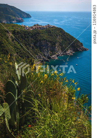 Corniglia view from the hiking trail, Cinque Terre, Italy 116914863