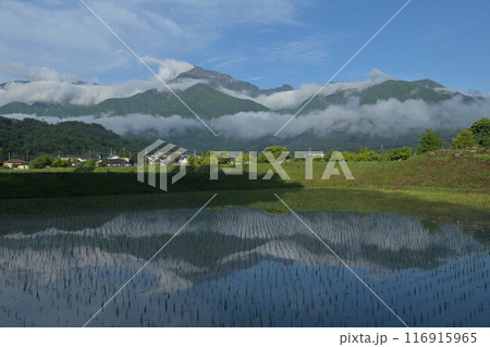北杜市白州町の田植えの済んだ水田に映る雲湧く南アルプス甲斐駒ケ岳 北杜市白州町の田植えの済んだ水田に映る雲湧く南アルプス甲斐駒ケ岳 116915965