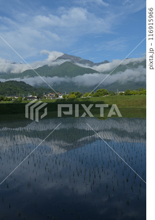 北杜市白州町の田植えの済んだ水田に映る雲湧く南アルプス甲斐駒ケ岳 116915966
