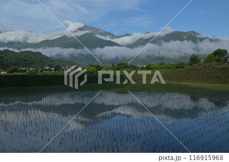 北杜市白州町の田植えの済んだ水田に映る雲湧く南アルプス甲斐駒ケ岳 北杜市白州町の田植えの済んだ水田に映る雲湧く南アルプス甲斐駒ケ岳 116915968