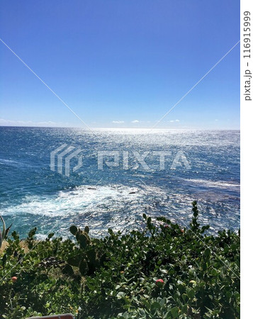 アメリカ・オレンジカウンティの一番綺麗なビーチ、ラグーナビーチ 116915999