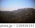 ハリウッドサインを遠くから観た 116916191