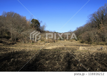 横浜市にある原風景の冬 横浜市にある原風景の冬 116916212