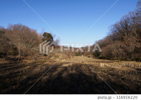 横浜市にある原風景の冬 横浜市にある原風景の冬 116916220
