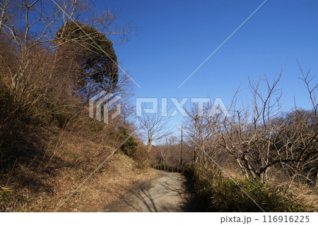 横浜市にある原風景の冬 横浜市にある原風景の冬 116916225