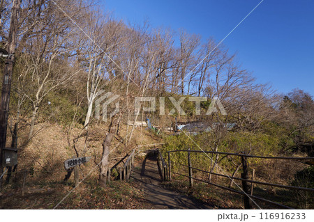 横浜市にある原風景の冬　 116916233