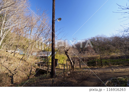 横浜市にある原風景の冬 横浜市にある原風景の冬 116916263