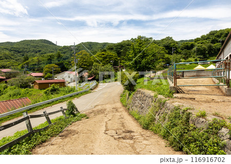 夏の神津牧場 群馬県 夏の神津牧場 群馬県 116916702