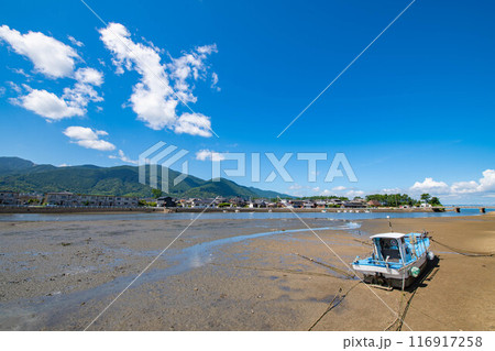 河岸から眺める夏の景色 116917258