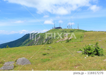 夏の美ヶ原高原 王ヶ頭 夏の美ヶ原高原 王ヶ頭 116917270