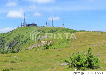 夏の美ヶ原高原　王ヶ頭 116917271