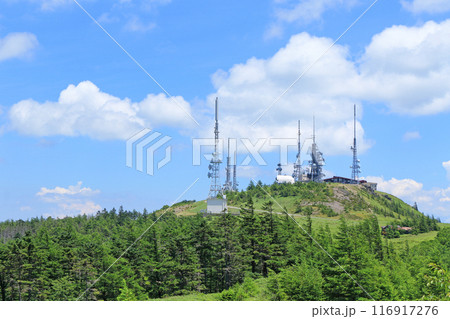 夏の美ヶ原高原　王ヶ頭 116917276
