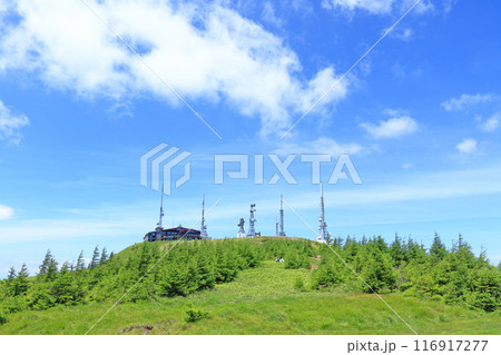 夏の美ヶ原高原　王ヶ頭 116917277