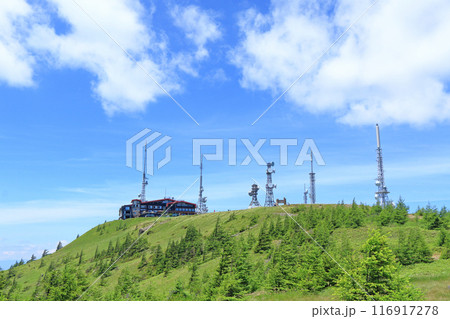 夏の美ヶ原高原　王ヶ頭 116917278