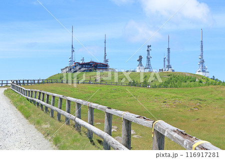 夏の美ヶ原高原 王ヶ頭 夏の美ヶ原高原 王ヶ頭 116917281