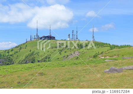 夏の美ヶ原高原　王ヶ頭 116917284
