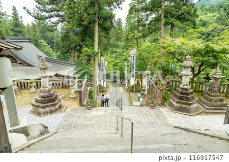 岐阜県揖斐川町　新緑の谷汲山華厳寺の本堂から見下ろした参道 116917547