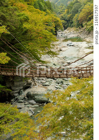 渡るのに勇気が必要な徳島県のかずら橋 116917597