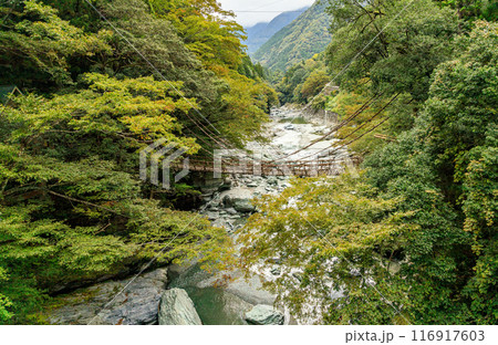 渡るのに勇気が必要な徳島県のかずら橋 116917603