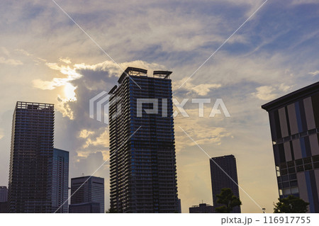 豊洲 夏の夕方 逆光のビル群 豊洲 夏の夕方 逆光のビル群 116917755
