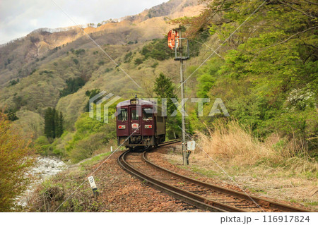 わたらせ渓谷鉄道の春の訪れ 116917824