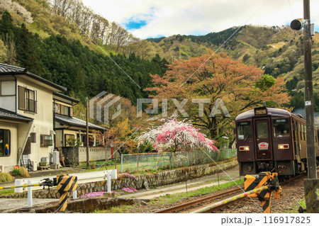 わたらせ渓谷鉄道の春の訪れ 116917825