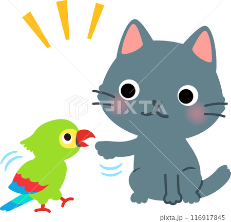 じゃれ合う猫とオウム じゃれ合う猫とオウム 116917845