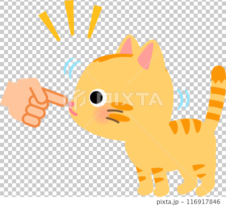 A tabby cat sniffing the fingertip offered by a person A tabby cat sniffing the fingertip offered by a person 116917846
