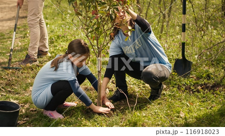 Team of environment activists digging holes and planting seeds to grow more trees and preserve the natural forest surroundings. Volunteers working on nurturing nature and ecosystem. Camera A. Team of environment activists digging holes and planting seeds to grow more trees and preserve the natural forest surroundings. Volunteers working on nurturing nature and ecosystem. Camera A. 116918023