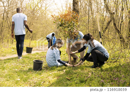 Small child and activists group do voluntary work by planting trees in the woods, preserving natural environment. Participating in conservation project and preserving the ecosystem. 116918039