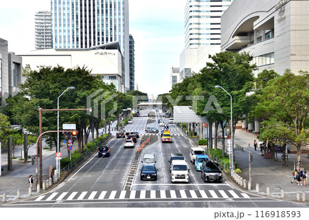 横浜みなとみらいけやき通り西交差点の景色 横浜みなとみらいけやき通り西交差点の景色 116918593