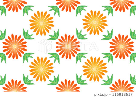 マツバギク 116918617