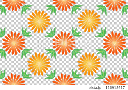 マツバギク 116918617