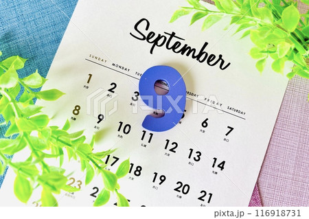 9月の予定を確認する 9月の予定を確認する 116918731