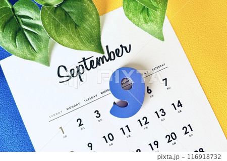 9月カレンダーのイメージ 116918732