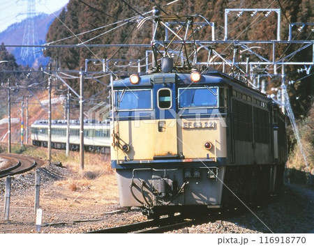 碓井峠を下りて来た特急あさま号 116918770