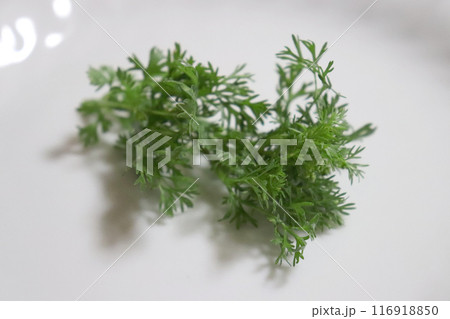 白い皿に盛られているパクチーの花芽 白い皿に盛られているパクチーの花芽 116918850