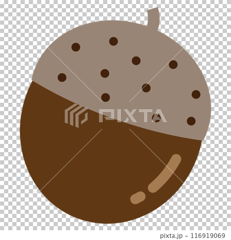 橡子矢量插畫 116919069