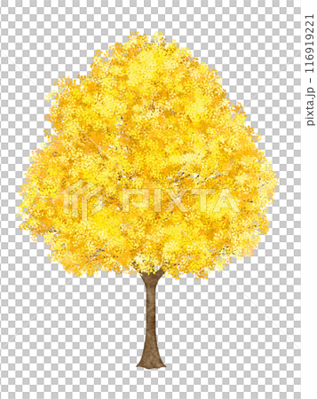 Tree with yellow leaves 116919221