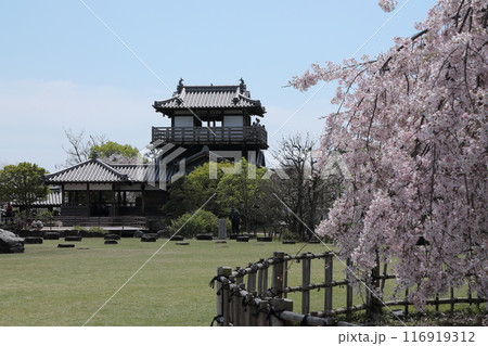 桜・池田城跡公園 116919312