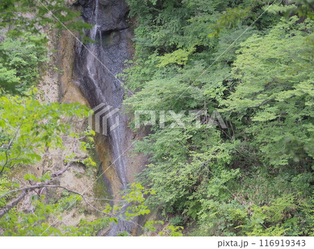 磊々峡の滝 磊々峡の滝 116919343
