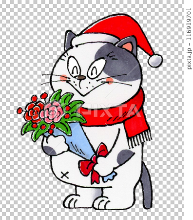 Cat wearing a Santa hat holding a bouquet Cat wearing a Santa hat holding a bouquet 116919701