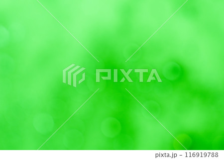 グリーン系 　背景素材 116919788