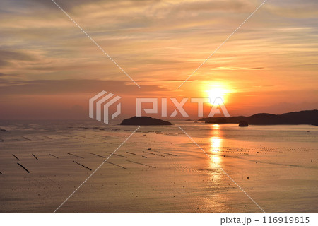 牡蠣棚並ぶ海の朝焼け 116919815