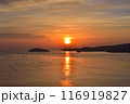 牡蠣筏並ぶ海に朝日 116919827