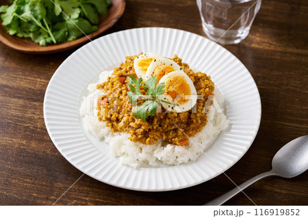 ドライカレー ドライカレー 116919852