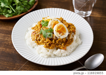 ドライカレー ドライカレー 116919855